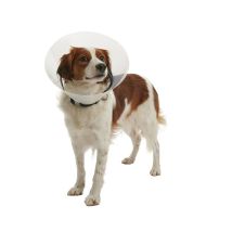 Kruuse - Collier Isabeline Transparent Buster Cliquez, 20 Cm, Chiens De 15 Љ 25 Kg, 1 Ud