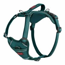 Harnais Anatomy – Harnais pour chien – Taille XL – Vert – Taille de l'animal, Largeur, Matières