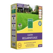 Serrurerie-boutique - Reparador De Césped Para Terreno Seco - Bhs - 3kg 150 M² Resistente Y Duradero, Con Excelente Durabilidad Y Tolerancia A 