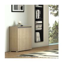 Mobile Multiuso Olmo - 2 Ante - 3 Ripiani Regolabili - 80x37x102 Cm - Terraneo