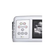 Batteria 12v 3.8ah Nimh Per Ultrasuoni Agroscan A8