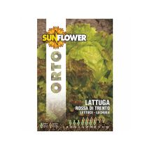 Semillas de lechuga roja de Trento – 7 g – Semillas de hortalizas – Huerto saludable