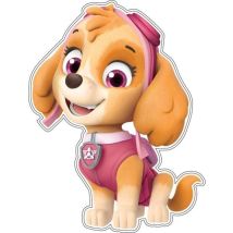 Decoraciones Nickelodeon Paw Patrol Colores Vivos 16,5 Cm