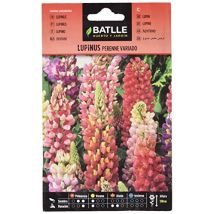 Lupinus Perenne Vario - Semillas Batlle