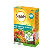 Sogua750n - Concime A Base Di Guano Per Stimolare L'Inizio Della Vegetazione, Giallo - Solabiol