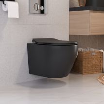 Wall Hung Toilet Without Cistern, Deervalley 1.6 Gpf/1.1 Gpf Double Flush Compact Rimless Ceramic Toilet Bowl With Soft Closed Seat - Black