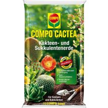 Terreau Compo Cactea 5 Kg Pour Cactus Et Succulentes