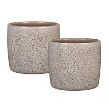 Scheurich Solido, Set De 2 Pots À Fleurs En Céramique, Coloris: Roccia, Diamètre 15 Cm, Hauteur 13,7 Cm, 1,9 L Vol.