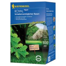 Prato da seminare Kiepenkerl 2 Kg – Erba compatibile con ombre – Germinazione rapida e resistente alle malattie