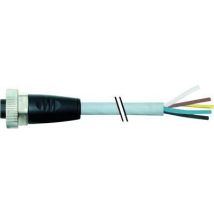 Murrelektronik 7000-78021-9610300 Connettore Grigio 3 Metri