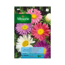 Seeds Di Queen Margarita Single Varied S-1, 0,8 Gr - Vilmorin