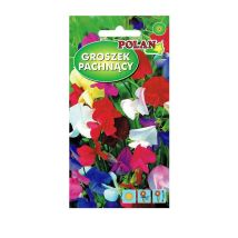 Semillas De Guisante Dulce Platinet 3 G