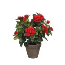 Künstliche Rote Azalee In Grauem Topf Ø11,5cmx27xø20cm
