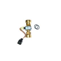Elm Leblanc - 87167557630 Sanitary Flow Detector T7 Brass
