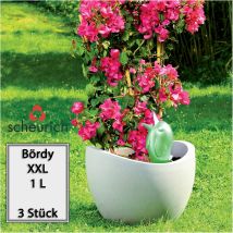 Scheurich Bördy Xxl Vert 1000 Ml - Lot De 3 Globes D'Arrosage