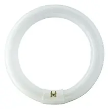 Philips 840551 Circular G10q 32w 865 Master Tl-e Super 80 Bulb