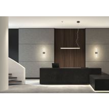 Lámpara De Techo Oslo Negro Mate 20w