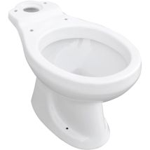 Inodoro monobloque Felce – Porcelana blanca – 43,5 x 18 cm – Descarga a pared y suelo