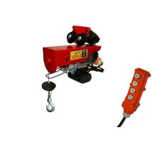 Varan Motors - Var-pa300c Polipasto Eléctrico Movil De 230v 300kg 600w Con Mando