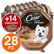 Cesar - Dog Ricette Di Campagna Con Manzo E Tacchino In Salsa Dog Ricette Di Campagna Con Manzo E Tacchino In Salsa - Vaschetta Da 150 Gr