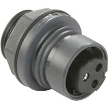 Bulgin Pxp6012/02s/st Rundstecker Buchse, Einbau Gesamtpolzahl: 2 Serie (rundsteckverbinder): Pxp 1