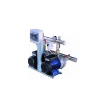 Groupe Pression Pompes Multistade Lowara Gxs20/hm 2x0,95kw Expo 2015 - Vert