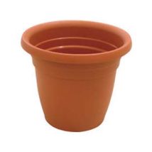 Vaso Campana Thea- - Ø Cm.35x29h. - 12 Pezzi Ics