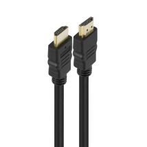 Ewent Im1014 Ethernet-kabel Schwarz 2 Meter Cat6
