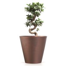 Pot De Fleurs Rond 3,5l Tubus Corten 200x200x187 Mm