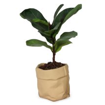 Pot En Céramique Monobloc – Avec Trous De Drainage, Convient Aux Cactus Et Aux Plantes Succulentes Pot De Fleurs D'Extérieur En Céramique Aménagement 
