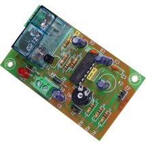 Timer di marcia ritardata 12V 2m-45m – Componente elettronico – Tensione 12V – Intensità 80mA
