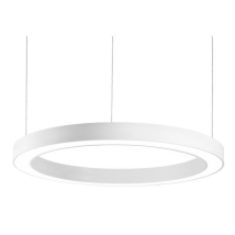Neuwertig] Brumberg Biro Circle Direkt Dali Led-pendel Hängeleuchte Hängelampe Licht Lampe