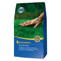Prato Ombra 2 Kg – Semi per Giardino – Germinazione Rapida – Verde Fresco