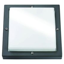 Sg Lighting 623188 Lampe De Culture Led 10 W A + Bassi 3000 K 1led Graphite Classe D'Efficacité Énergétique: A + 580lm Kst Opa