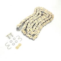 Chaîne De Transmission Regina Pour Auto 630-ors-108 / Oring Neuf