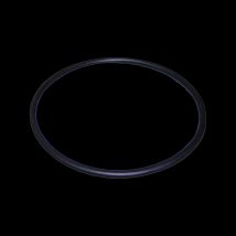 Astralpool O-Ring Vorfilterabdeckung 151,7 mm Dichtung für Pumpen Ersatzteil 4405010178