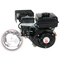 Kompletter Benzinmotor Zbmk210l11 Zanetti Horizontale Zapfwelle Auf Nockenwelle