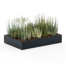Herstera Garden Cube Low M Plus Bac À Plantes D’extérieur Plat