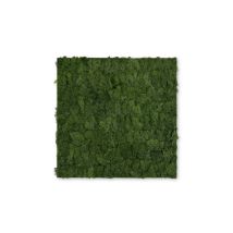 Jangal - Modular Wall Akustik 3d Paneele 520 X 520 Mm Dark Green Moos Moos Pflanzenwand Paneele Echtmoos