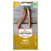 30 graines ab - Piment Rezha Macedonian - La Ferme Sainte Marthe
