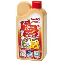 Pineta magia d'oriente per ambienti con olii essenziali Orientali, Pineta 1 flacone da 200 ml: Confezione da 12 pezzi