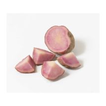 Pink Love 25 Plants De Pomme De Terre