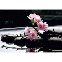 Ag Art - Pink on stones, photo murale intissée, 360x270 cm, 4 parties