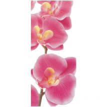 Pink orchid, intissé photo mural, 90 x 202 cm, 1 part