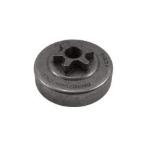 Piñón alpina, oregon