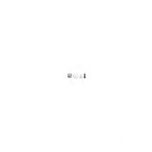 Dolmar - Piston compatible avec tronconneuse makita,wacker PS7300, PC3712, PC7314....