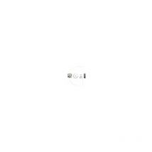 Jardinvest - Piston compatible avec stihl MS230, 023, 021, MS210, FS400, SP400