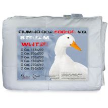 Piumino oca Stream 500 gr. 80% piuma oca 20% piumino oca Bicolore Cm. 155X200