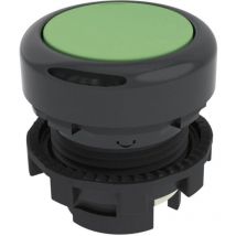 E21PU2R4210 E21PU2R4210 Drucktaster Grün 1 St. - Pizzato Elettrica