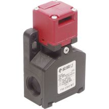 Pizzato Elettrica - fw 3392-M2 fw 3392-M2 Sicherheitsschalter 250 v/ac 6 a getrennter Betätiger tasten